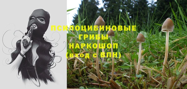 бутират Алексеевка